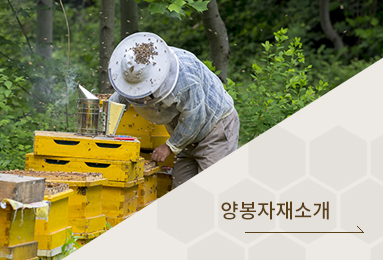 양봉자재소개