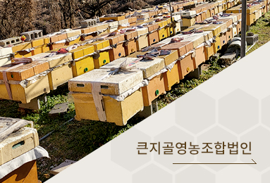 큰지골영농조합법인